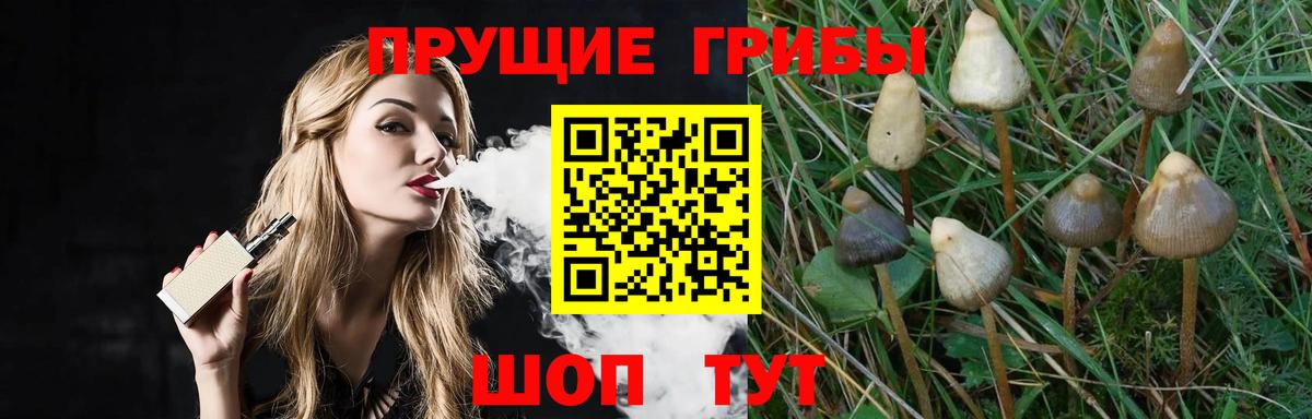Псилоцибиновые грибы мицелий  Вход с VPN  Щёкино 
